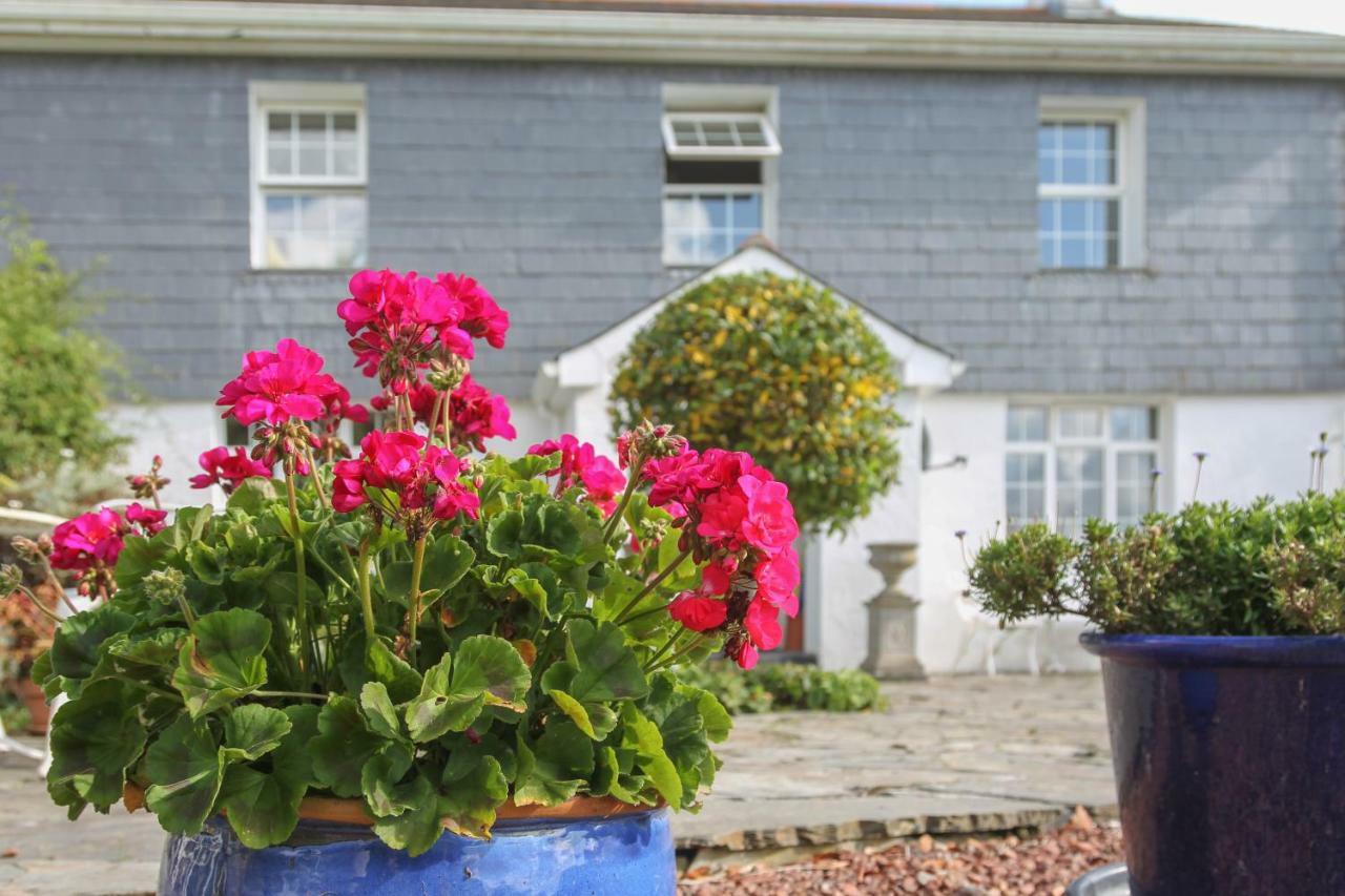 Treweens Wadebridge Zewnętrze zdjęcie