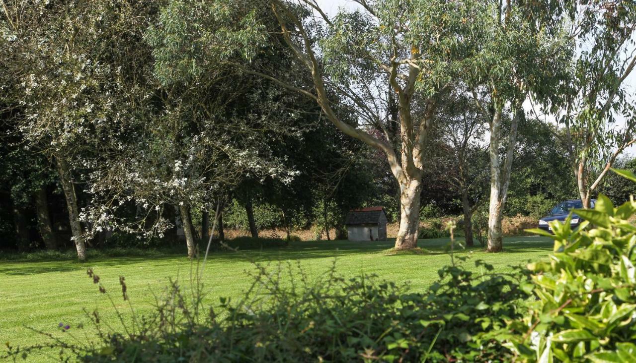 Treweens Wadebridge Zewnętrze zdjęcie